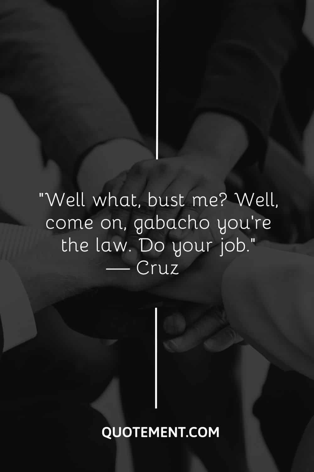 Well what, bust me Well, come on, gabacho you’re the law. Do your job