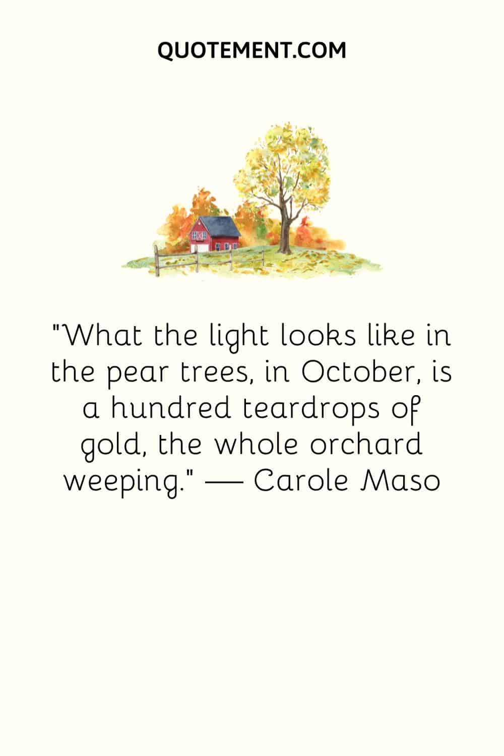 What the light looks like in the pear trees, in October, is a hundred teardrops of gold, the whole orchard weeping