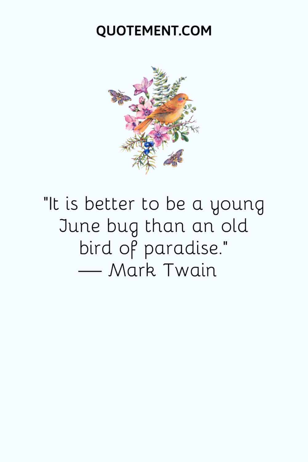image of a bird, flowers, and butterflies representing June inspirational quote