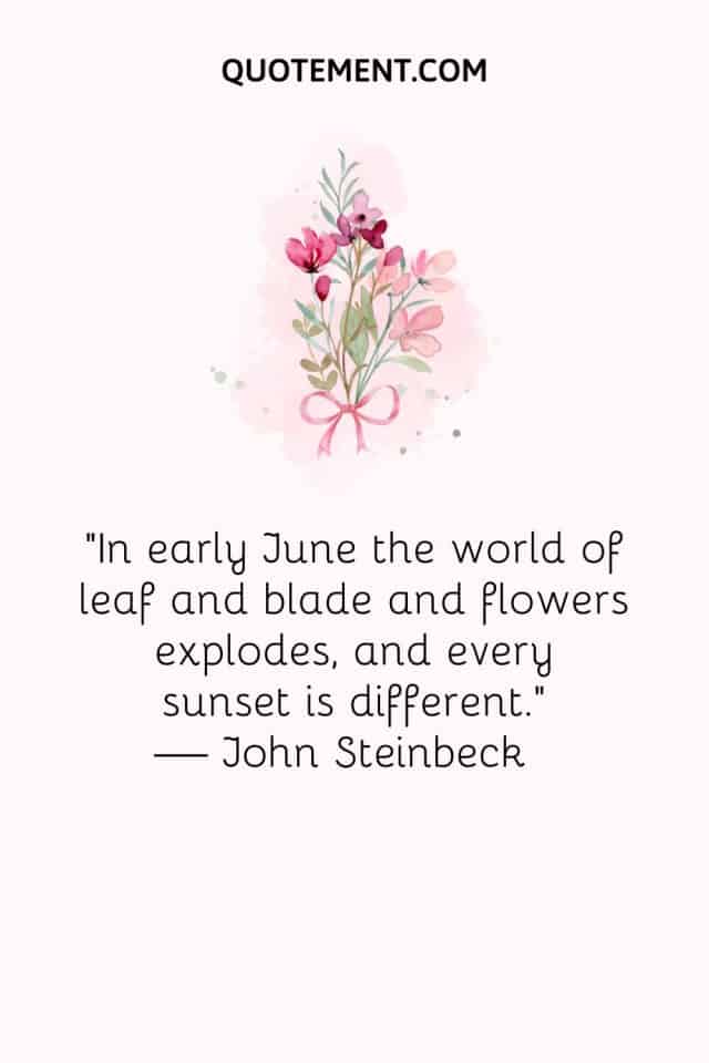 80 Inspirational June Quotes To Embrace Summer Vibes