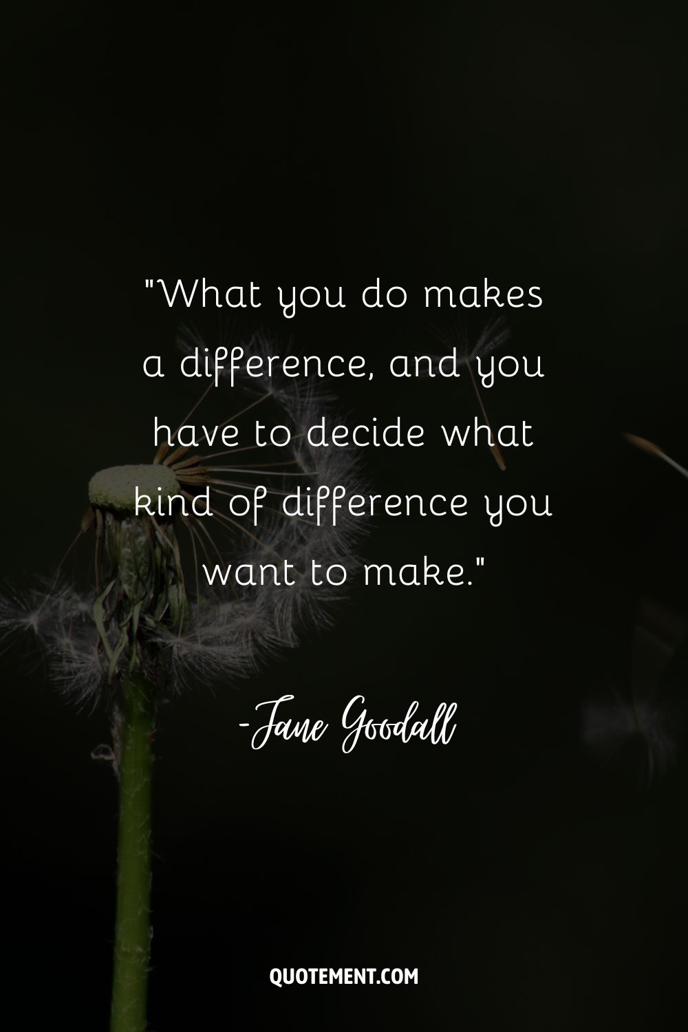 white flower on a black background representing make a difference quote