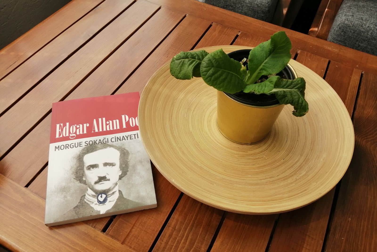 an Edgar Allan Poe book on a wooden table