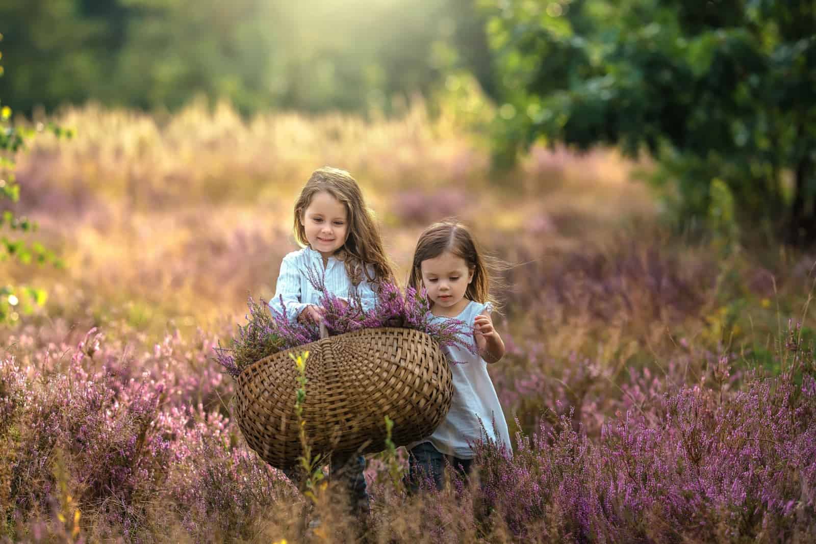 Beautiful sisters with a basket of heather are walking across the field and smiling.