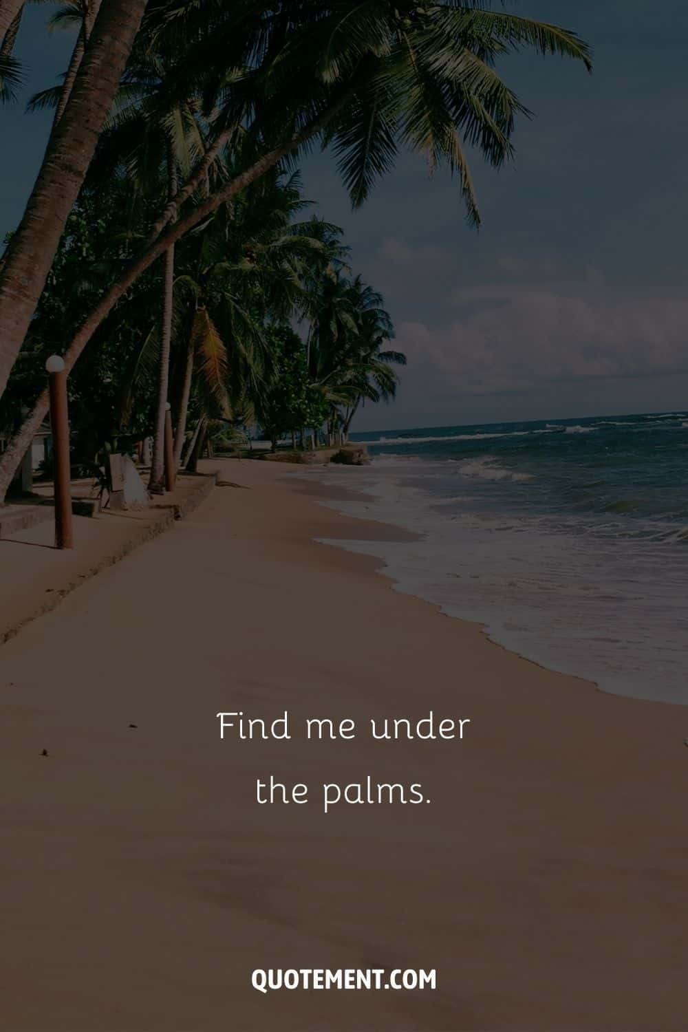 Find me under the palms. – Unknown