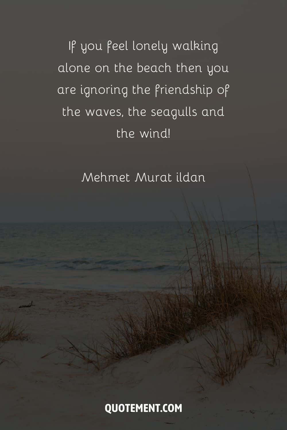 If you feel lonely walking alone on the beach then you are ignoring the friendship of the waves, the seagulls and the wind! — Mehmet Murat ildan