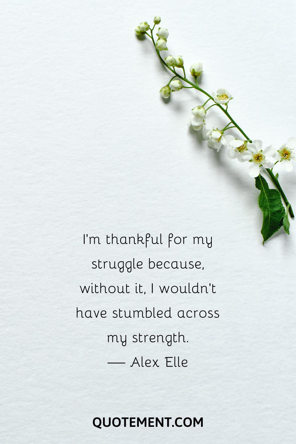 I’m thankful for my struggle because, without it, I wouldn’t have stumbled across my strength