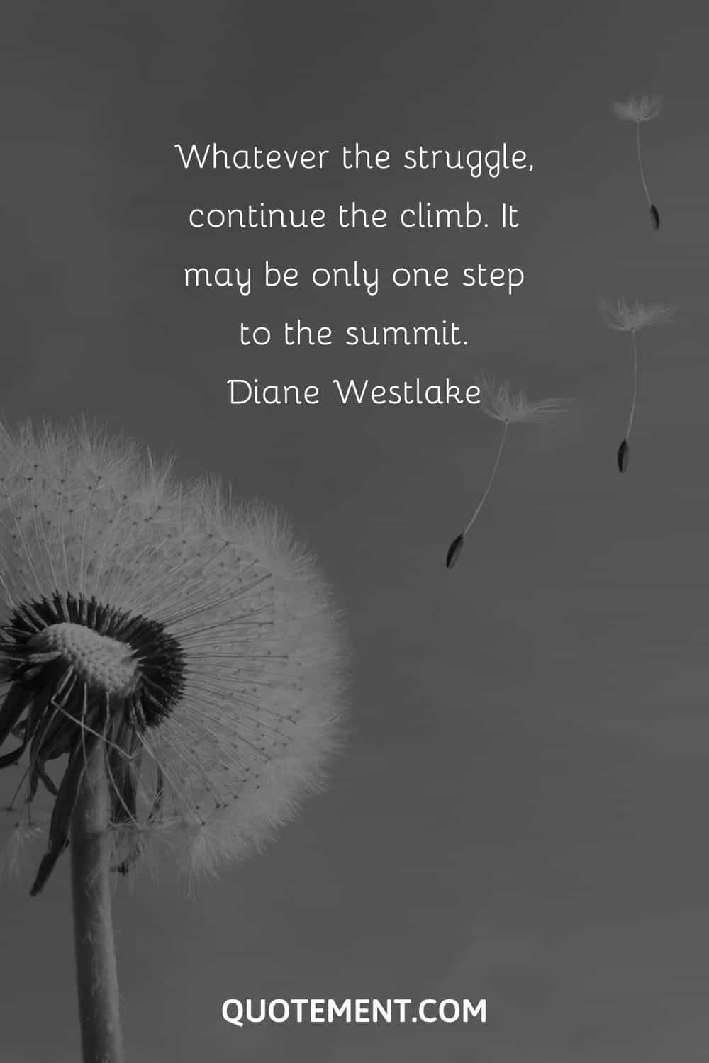 Whatever the struggle, continue the climb. It may be only one step to the summit
