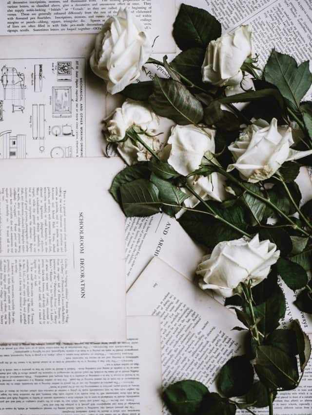 roses for your friday captions