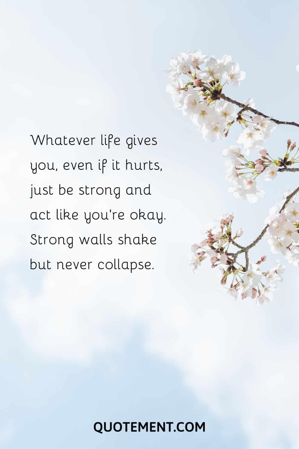 inspirational quotes about life struggles