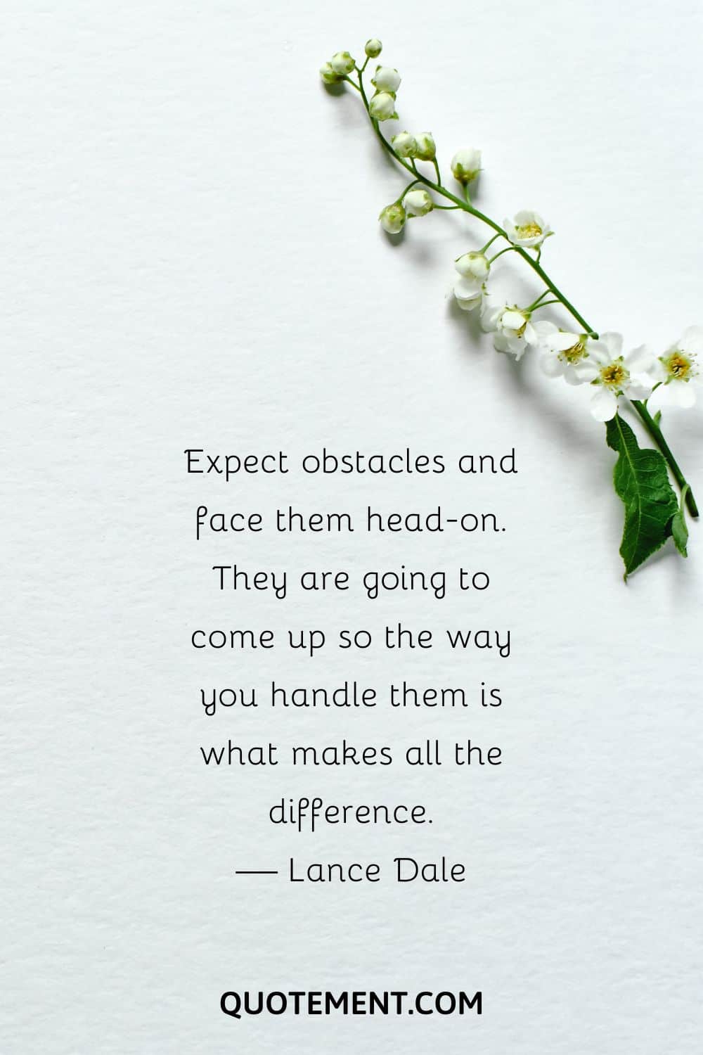 image of a branch with white flowers representing positive quote about life challenges
