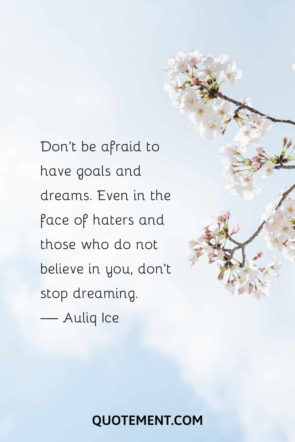 Don’t be afraid to have goals and dreams
