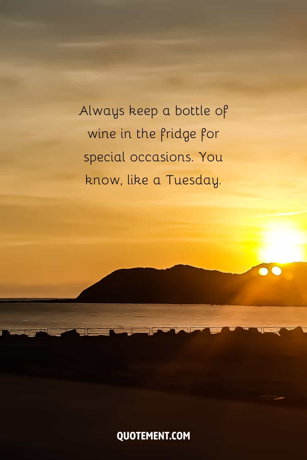 “Always keep a bottle of wine in the fridge for special occasions. You know, like a Tuesday.” — Unknown