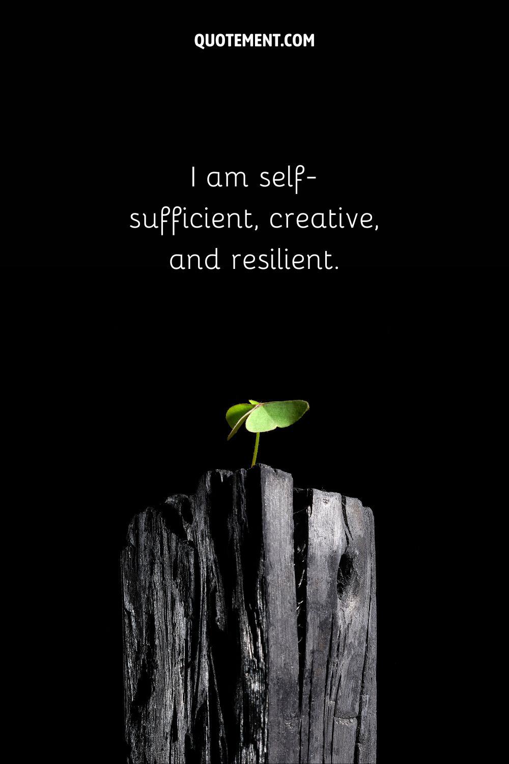I am self-sufficient, creative, and resilient