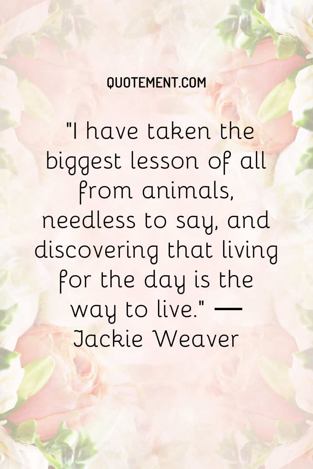 I have taken the biggest lesson of all from animals, needless to say, and discovering that living for the day is the way to live