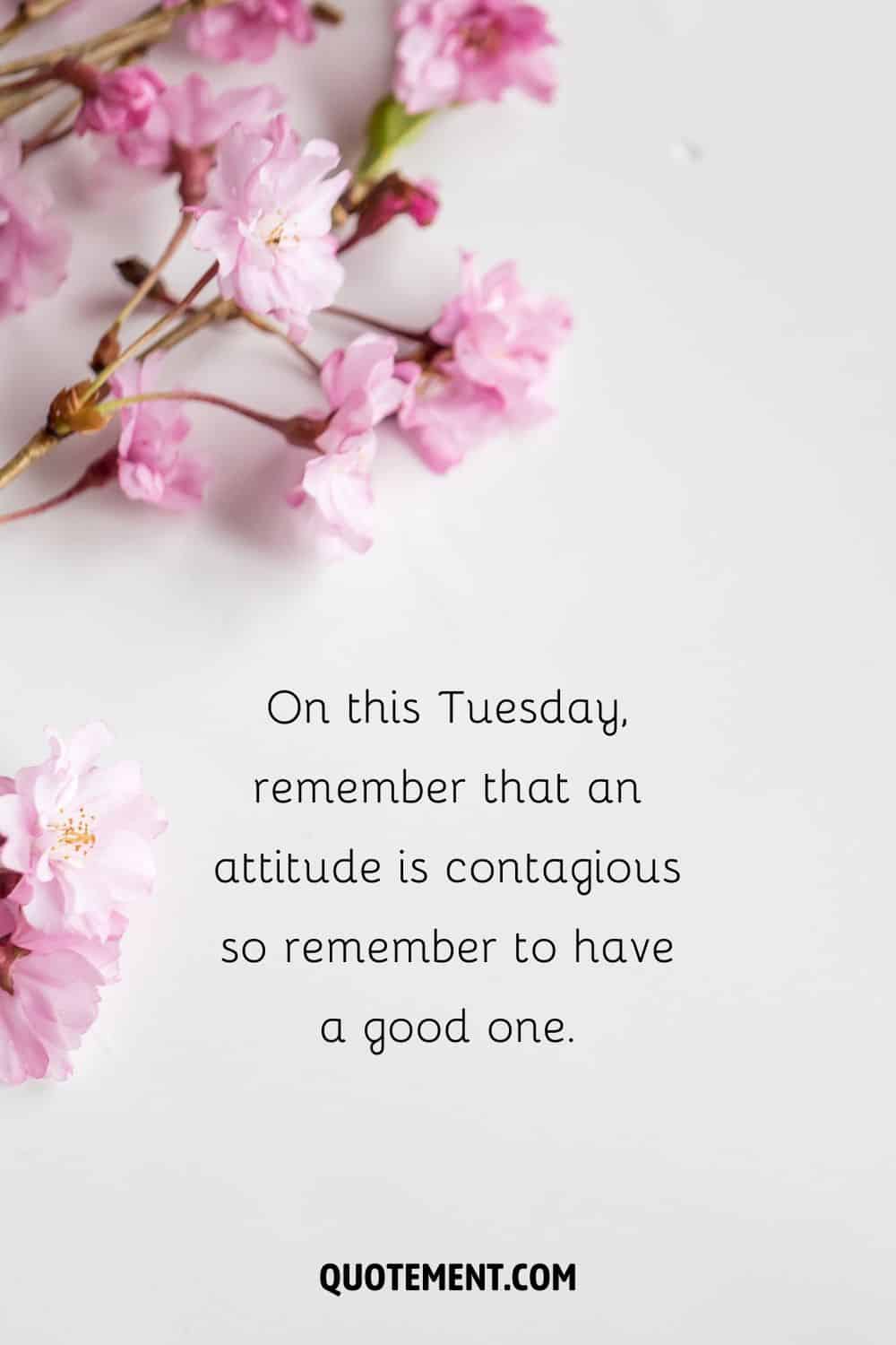 “On this Tuesday, remember that an attitude is contagious so remember to have a good one.” — Unknown