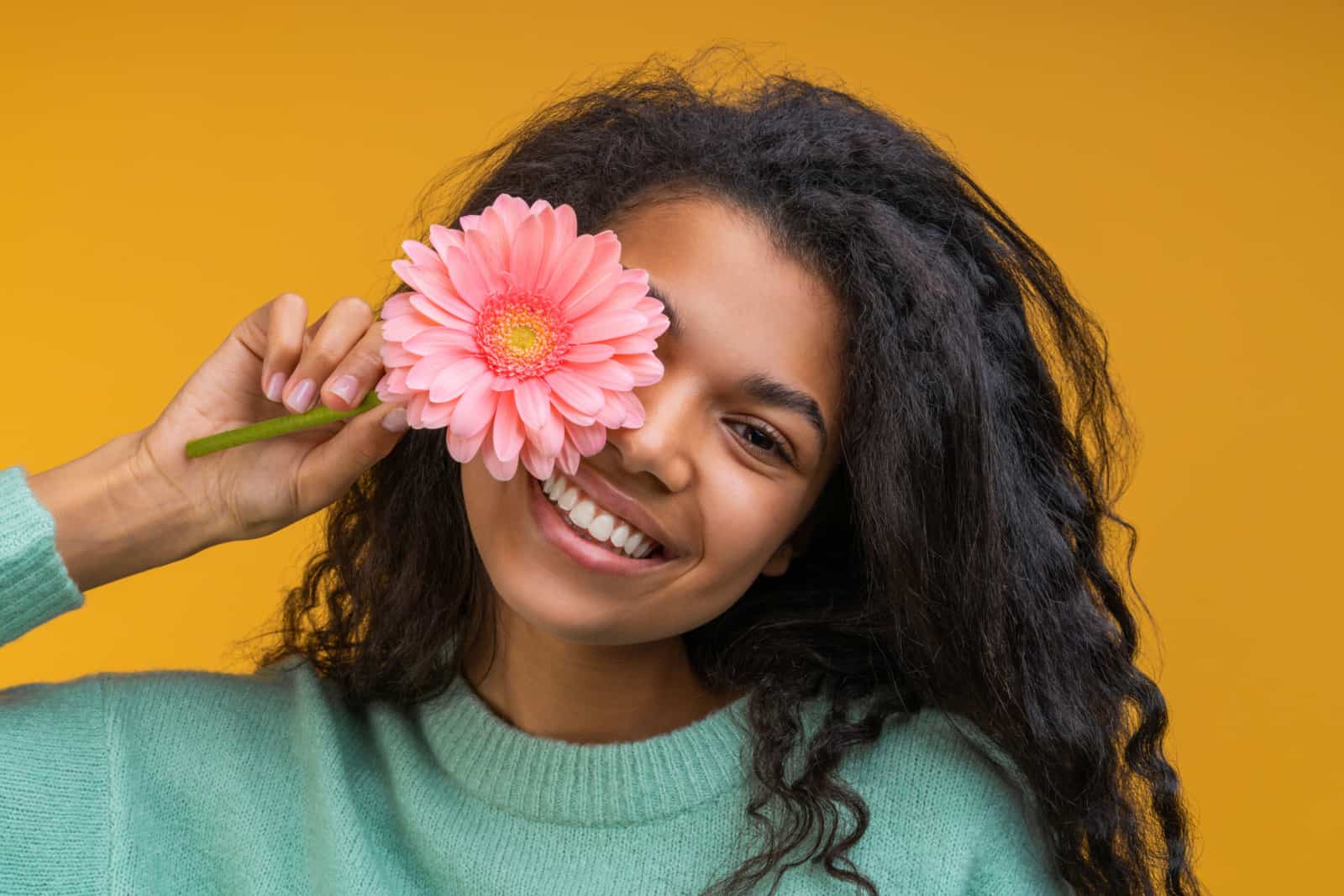 Studio close up shot of cheerful smiling attractive young woman covering a part of her face with pink gerbera flower,