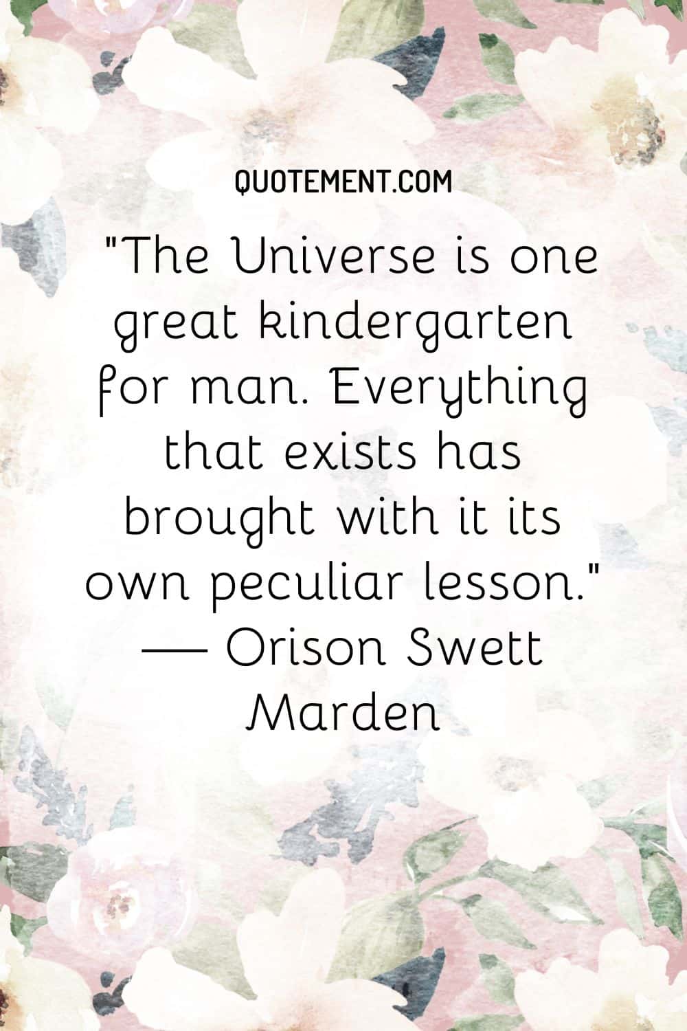 Idowu Koyenikan Quote: “There are certain life lessons that you can only  learn in the struggle.”