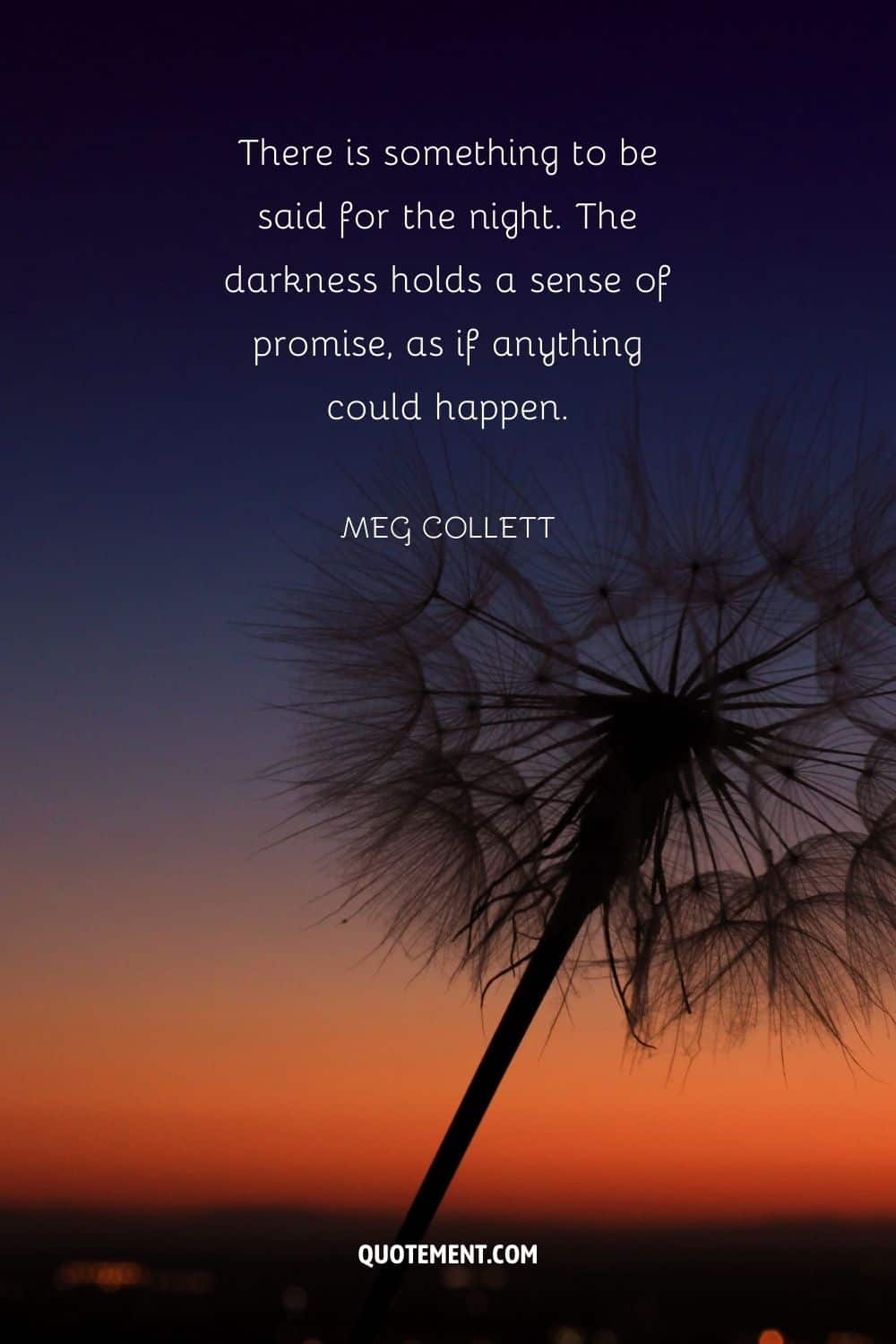 image of dandelion representing wonderful quote for night