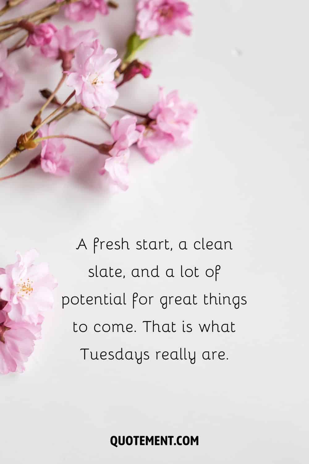 pink flowers image representing Tuesday inspirational quote