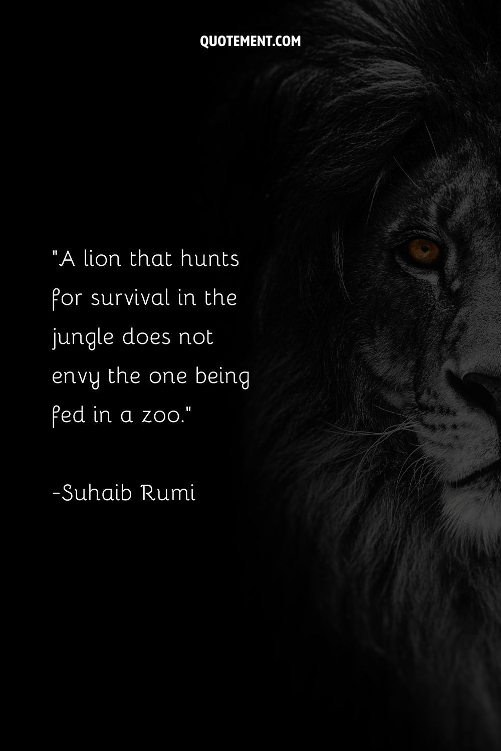 A lion that hunts for survival in the jungle does not envy the one being fed in a zoo