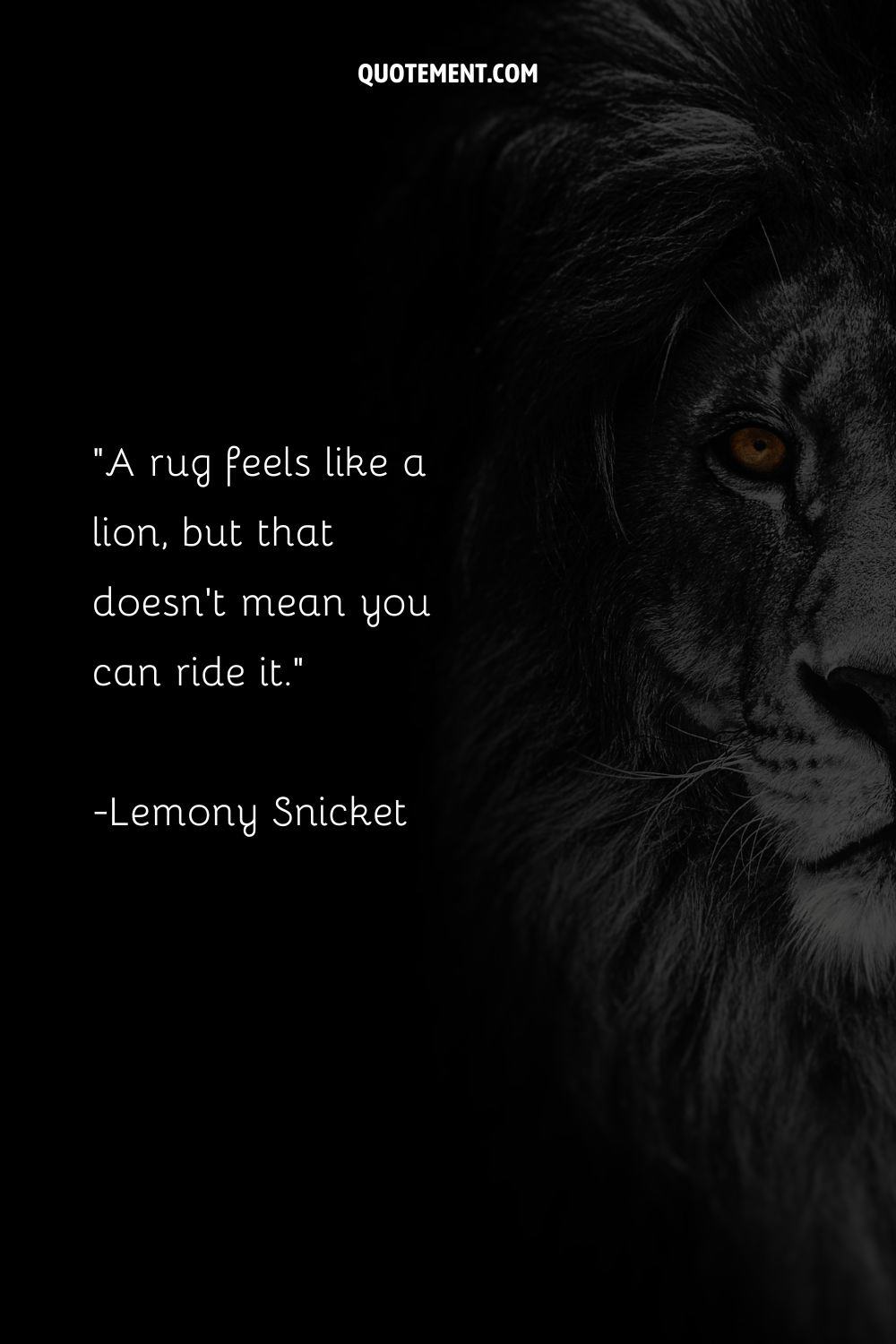 A rug feels like a lion, but that doesn’t mean you can ride it