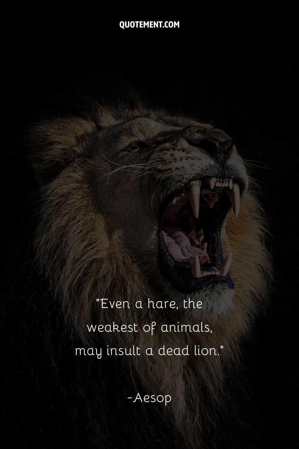 Even a hare, the weakest of animals, may insult a dead lion