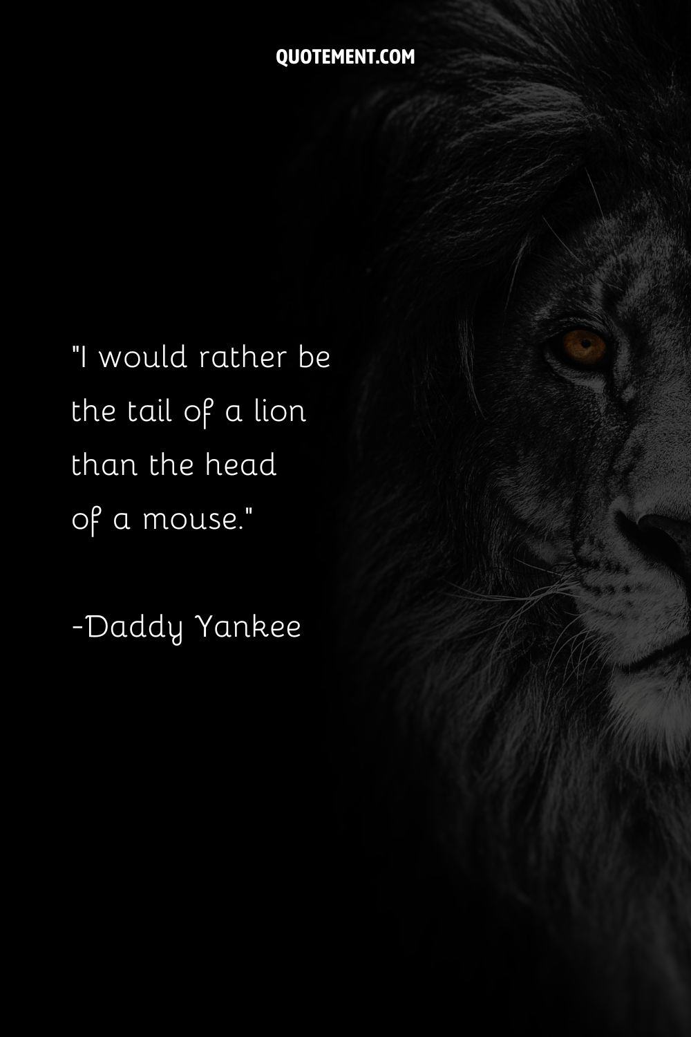 I would rather be the tail of a lion than the head of a mouse
