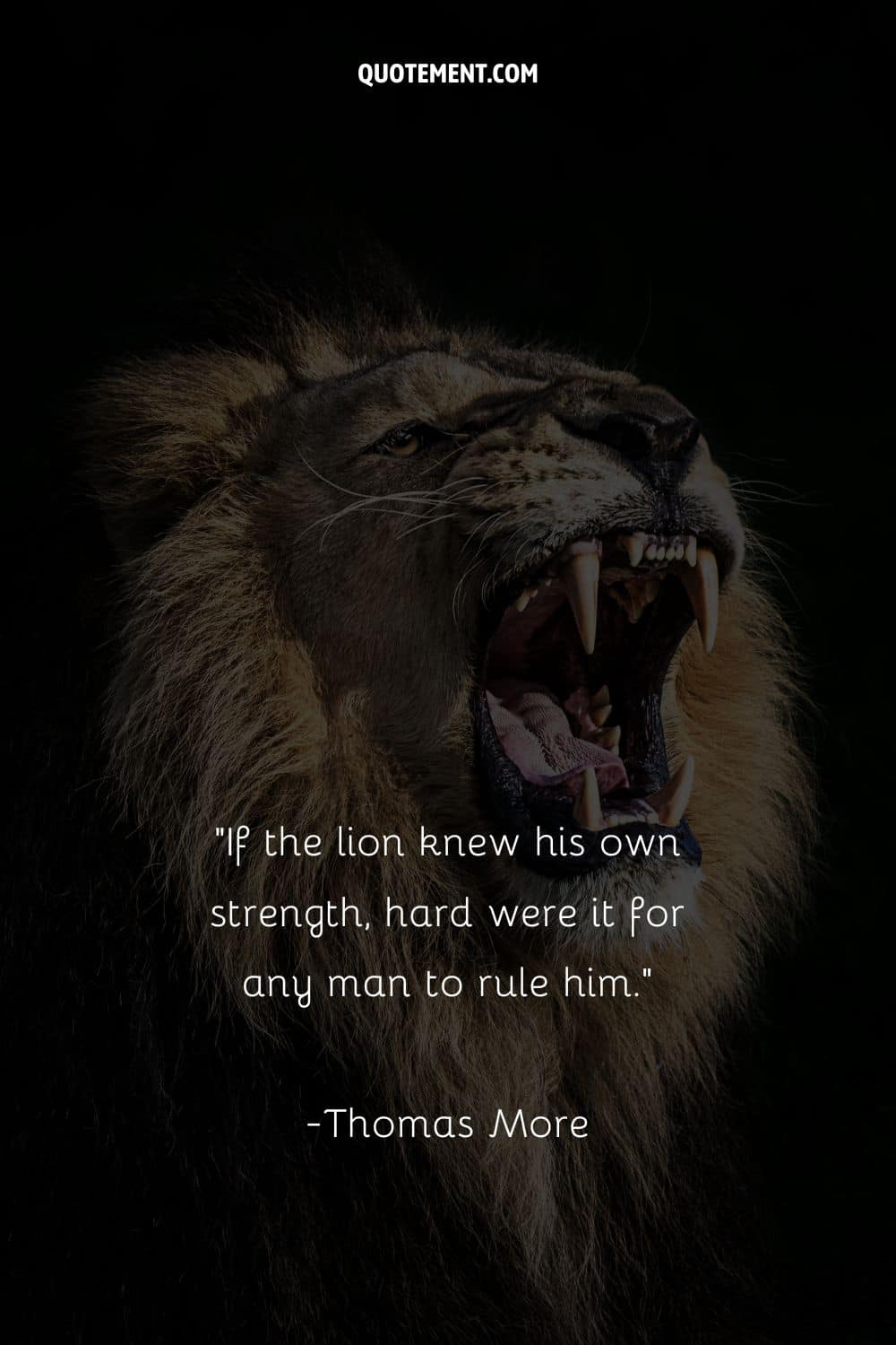 If the lion knew his own strength, hard were it for any man to rule him
