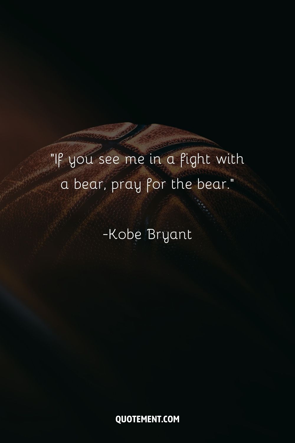 Image of a ball representing a quote from the greatest basketball player.
