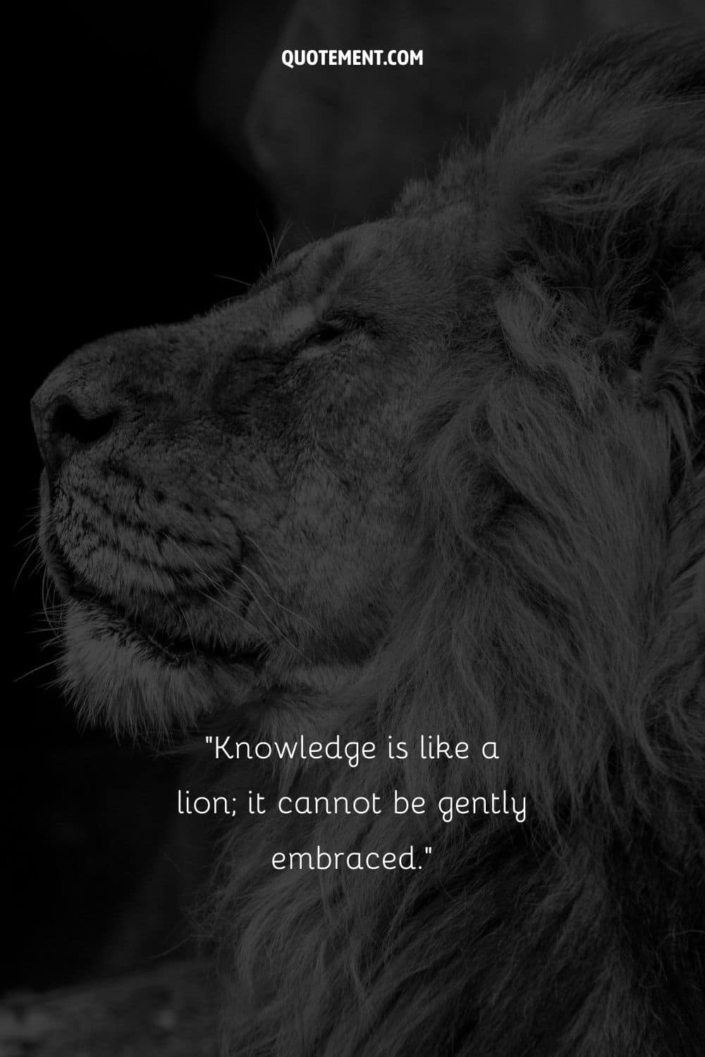 Knowledge is like a lion; it cannot be gently embraced