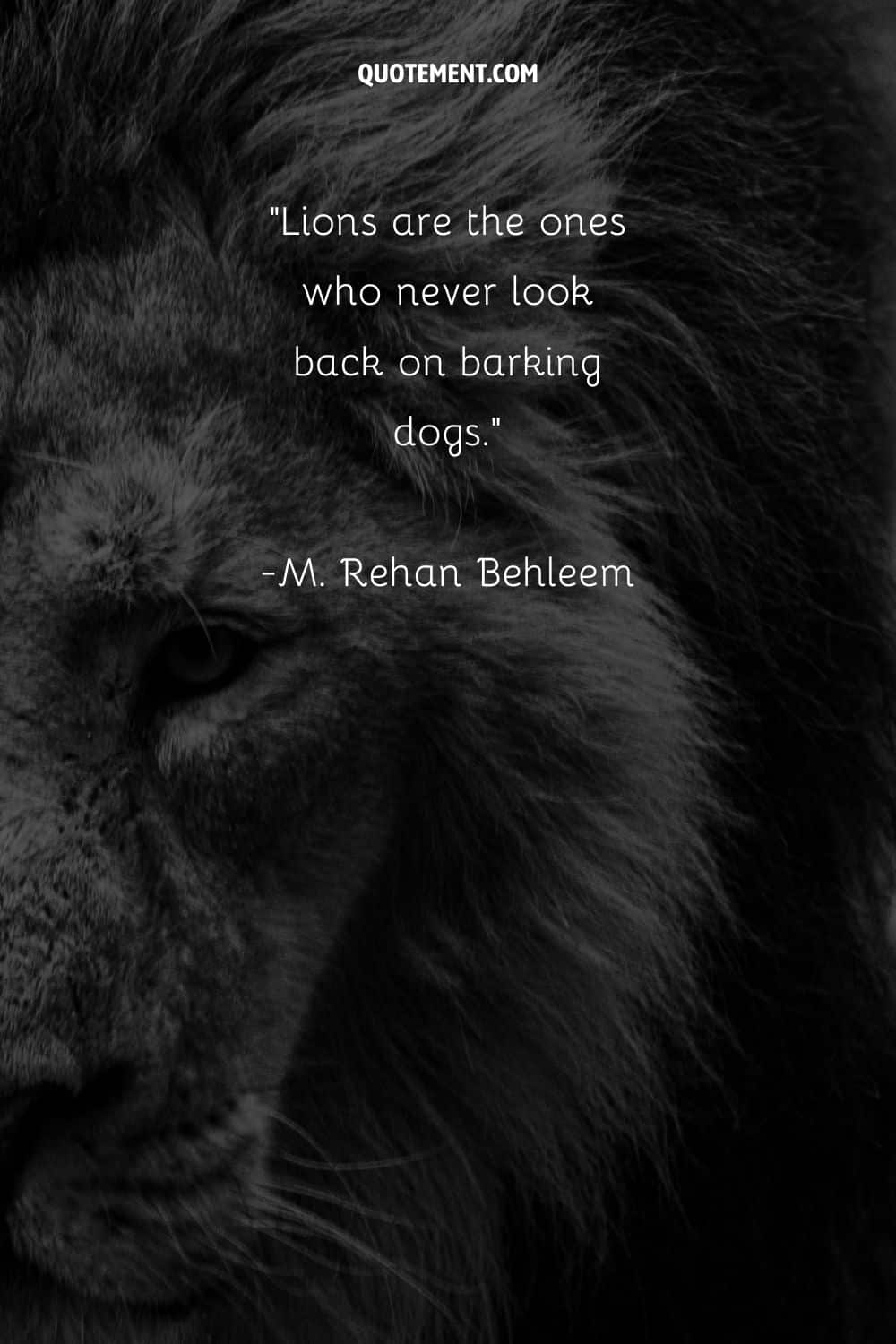 Lions are the ones who never look back on barking dogs