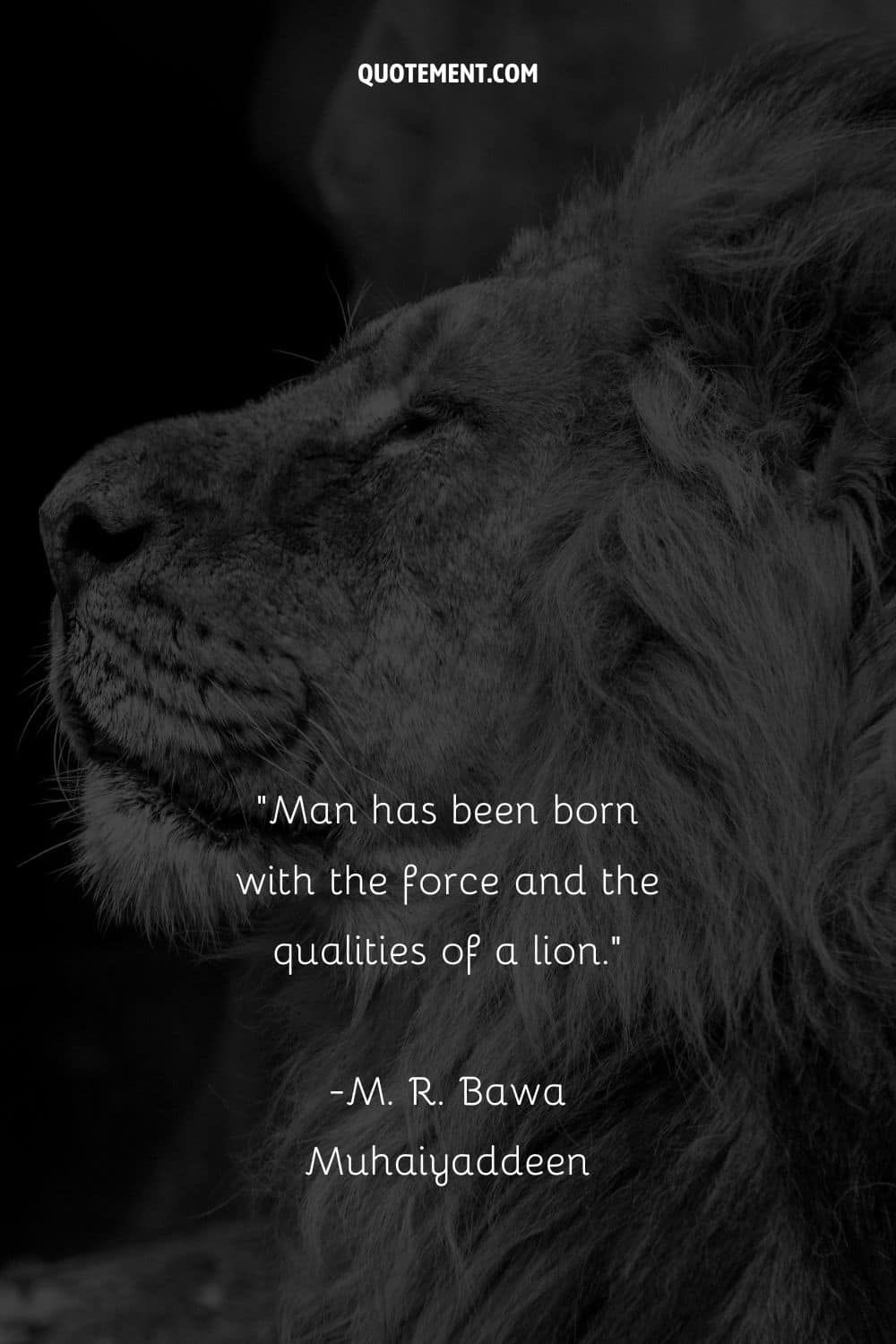Man has been born with the force and the qualities of a lion