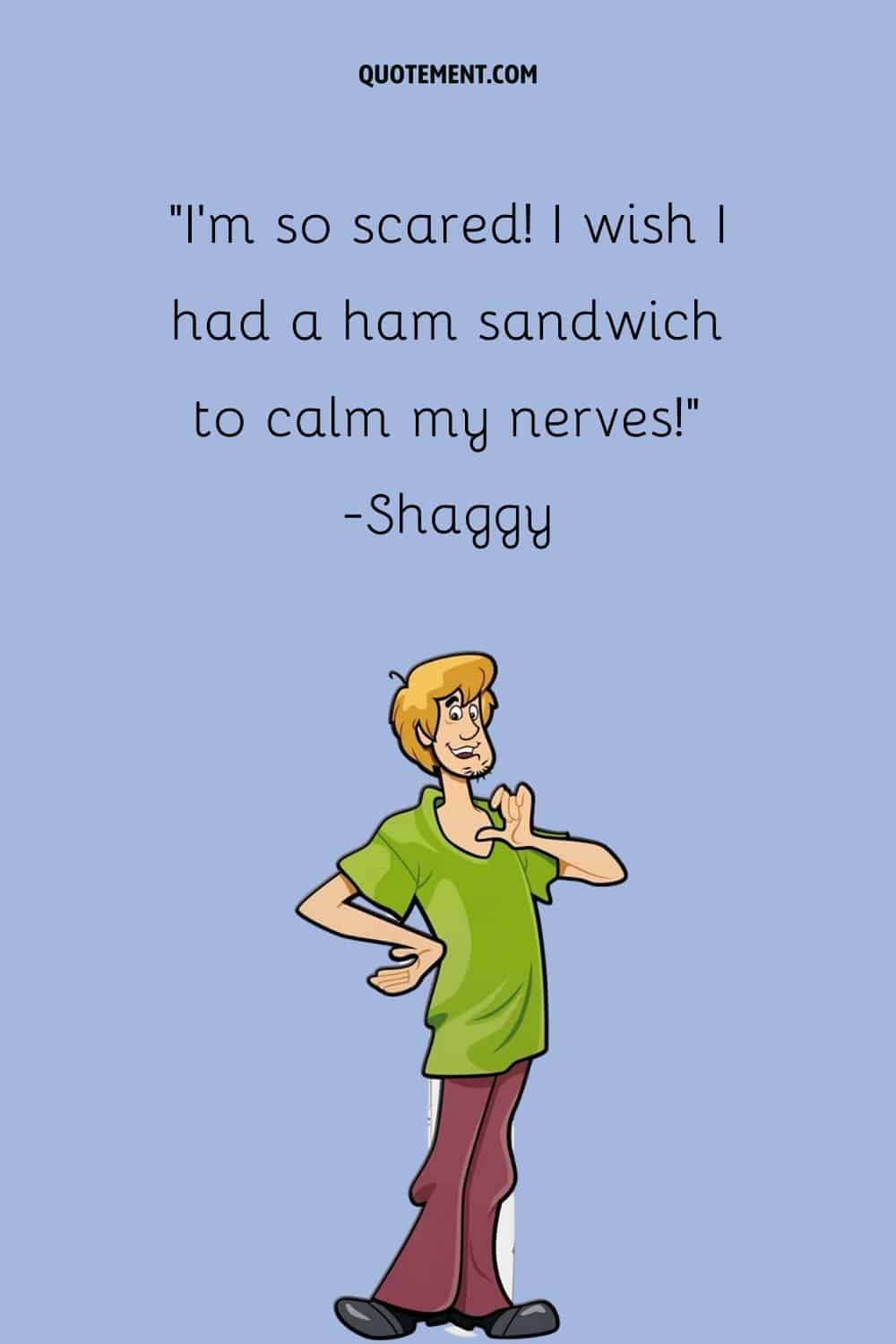 Shaggy image representing funny Shaggy Scooby-Doo quote
