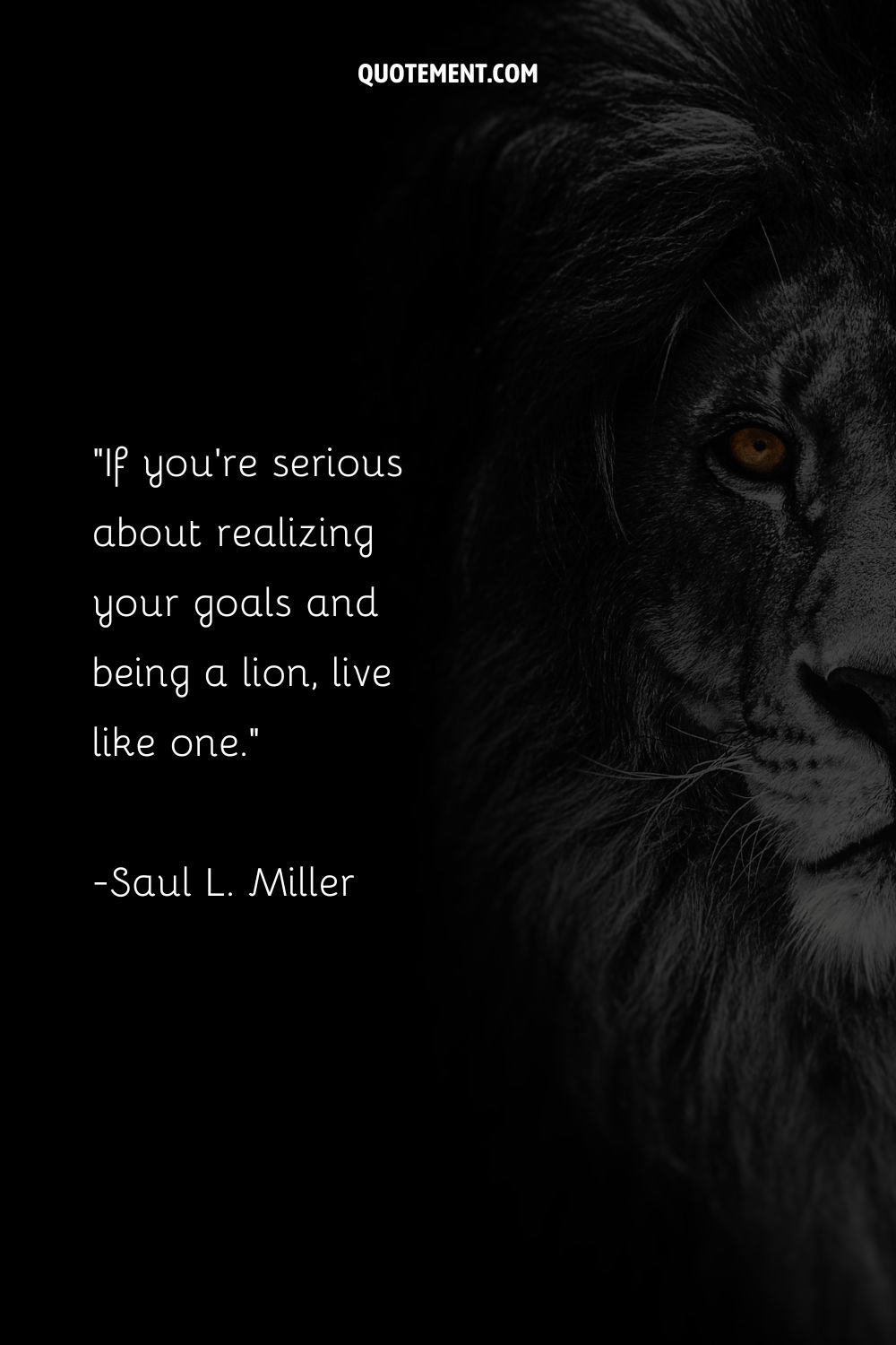 half of lion's head image representing lion motivational quote