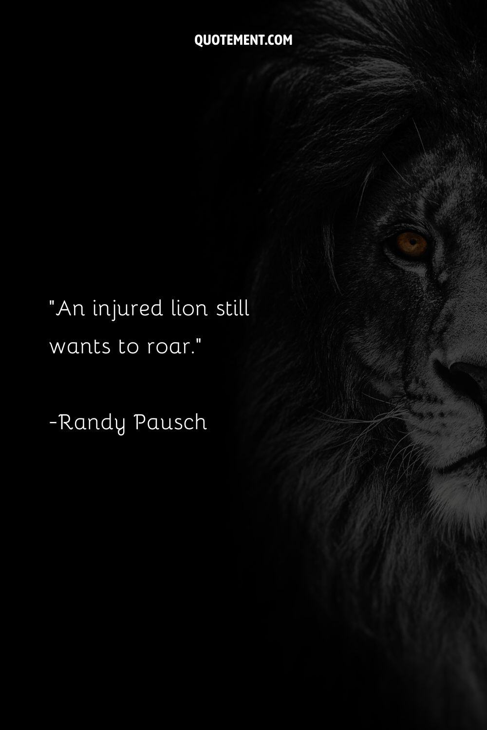 image of half of lion's head representing lion mentality quote