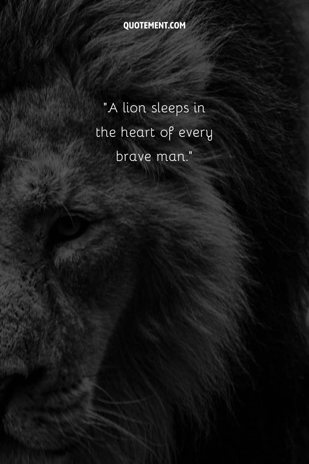image of lion's head representing the best lion quote