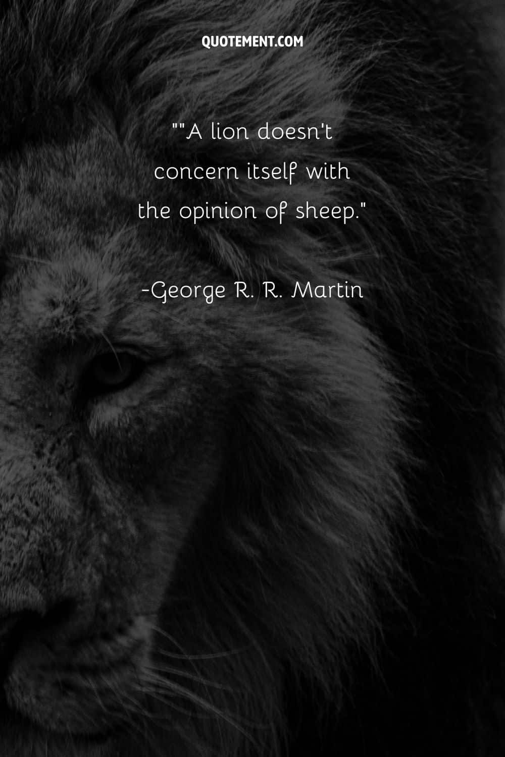 lion's head image representing the best lion quote