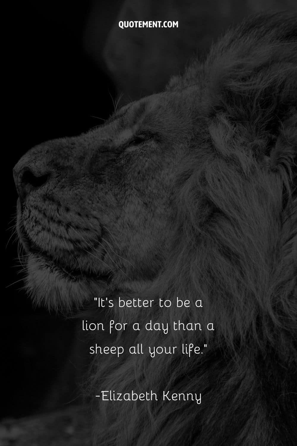 lion's head side image representing lion inspirational quote
