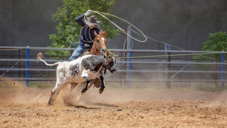 220 Rodeo Captions To Complement Your Western Adventures