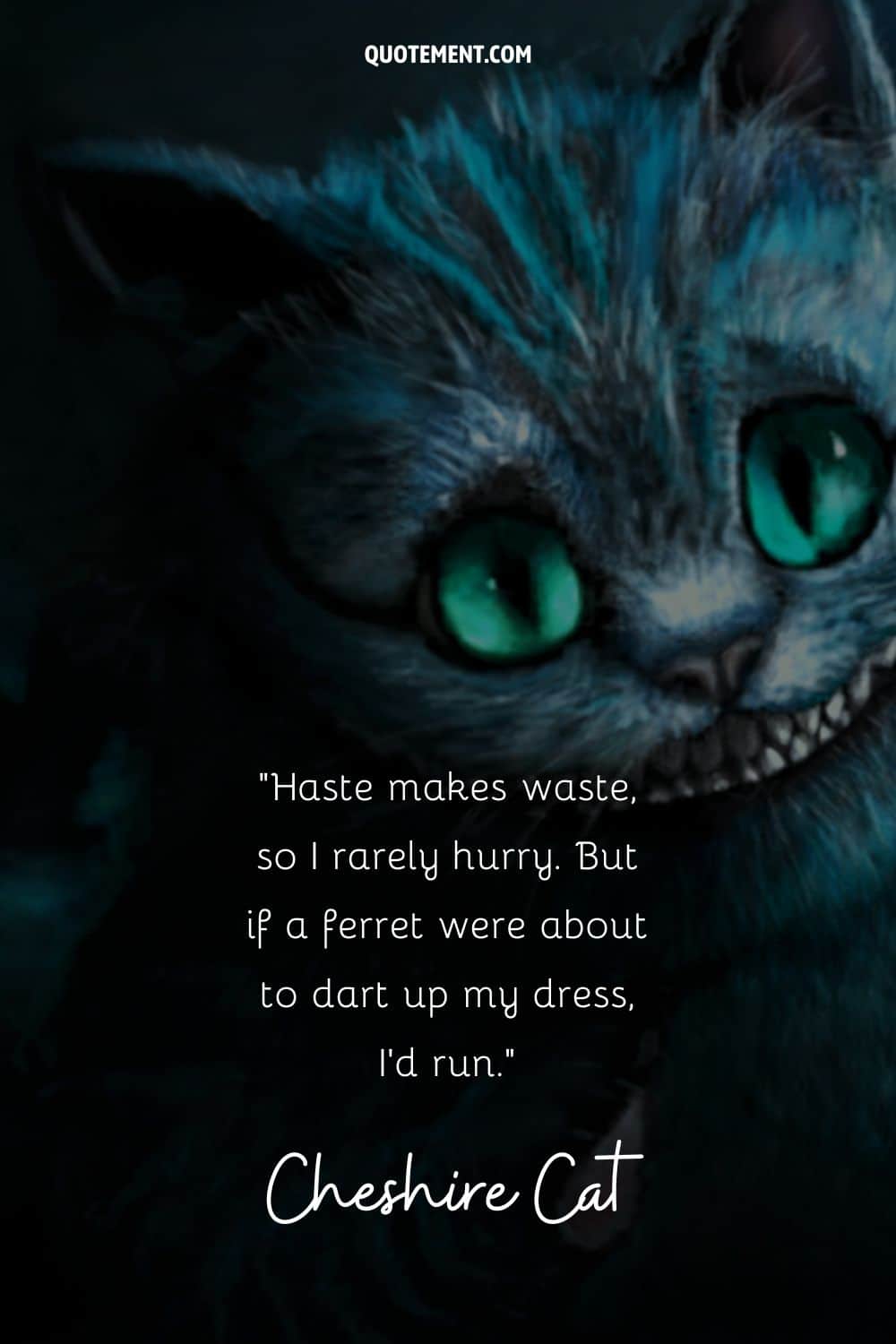 Brilliant quote by the Cheshire Cat and its image in the background as well