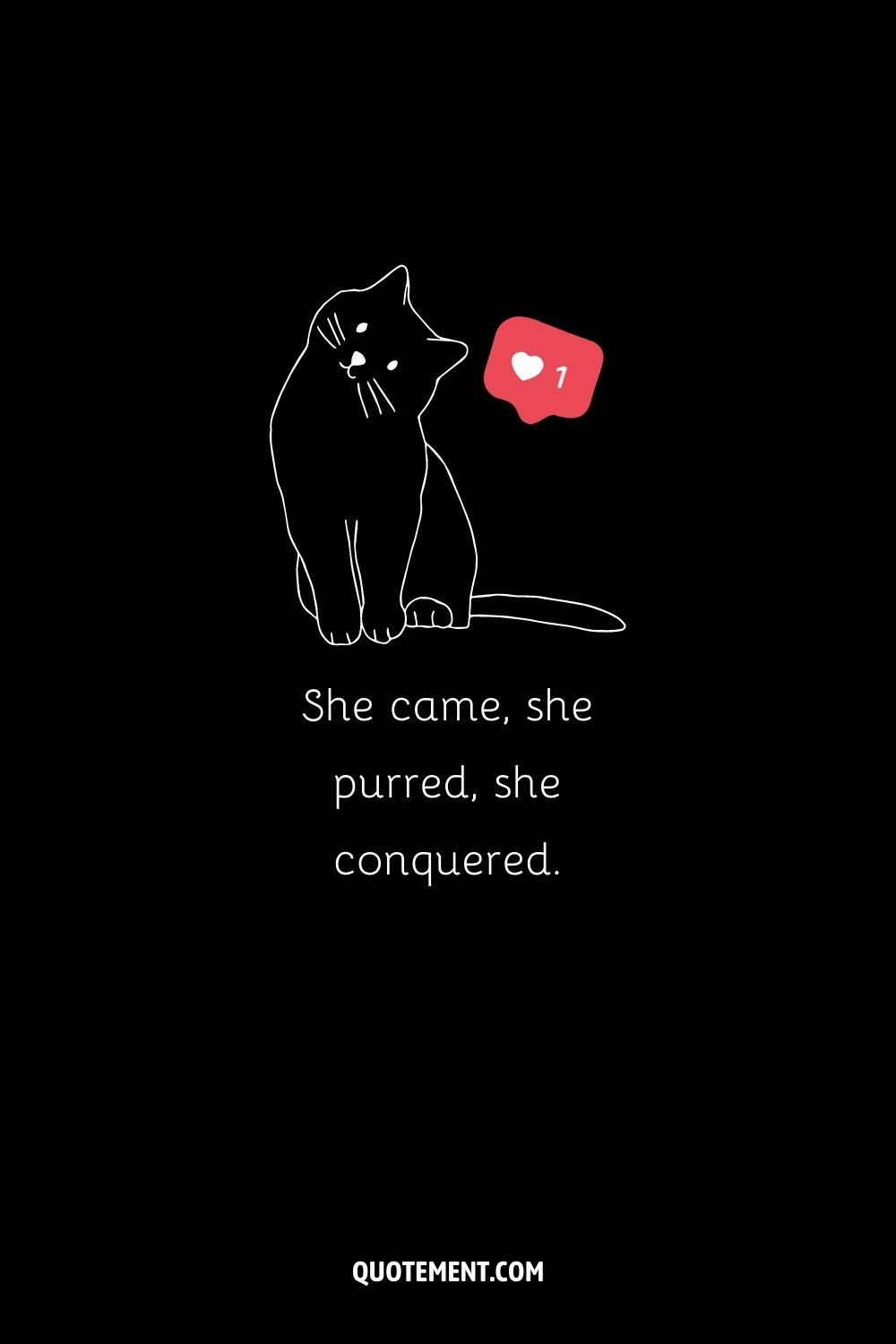 Illustration of a cat and a notification and a cute cat caption idea for Insta
