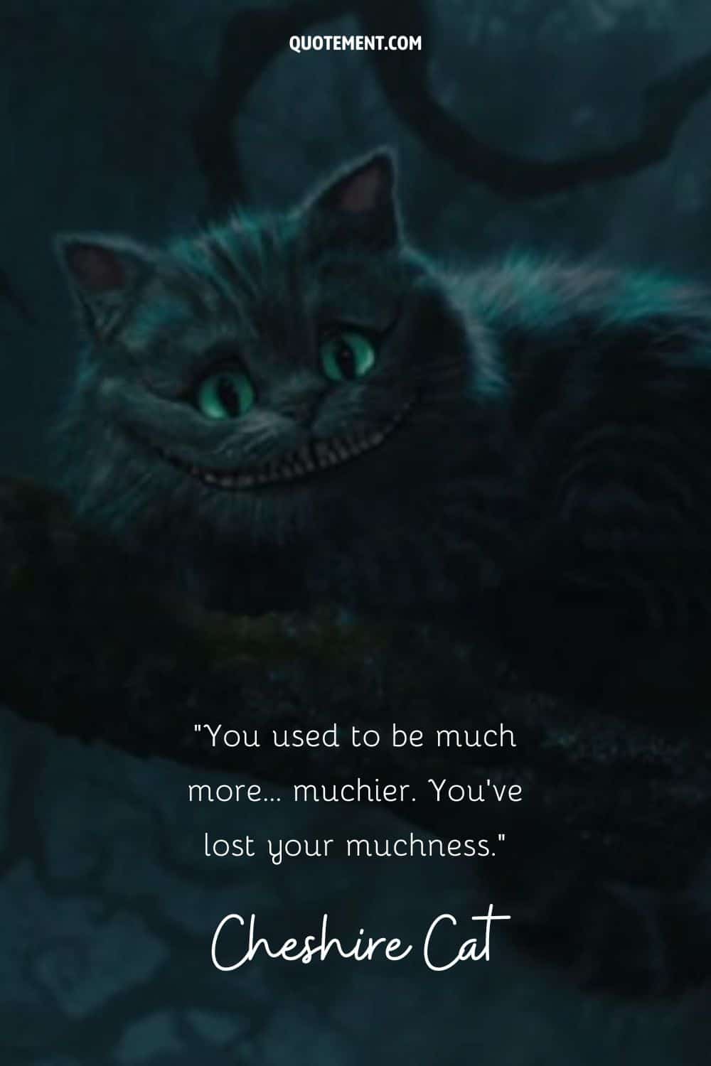 Interesting quote from the Cheshire Cat and its image in the background as well