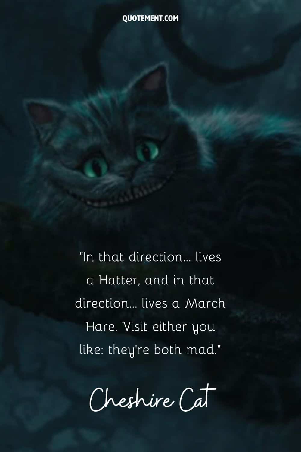 Quote from the Cheshire Cat and its image in the background