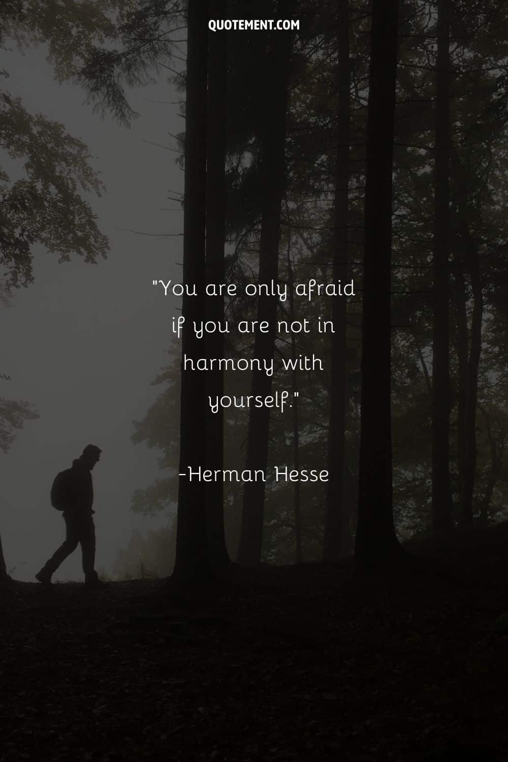 You are only afraid if you are not in harmony with yourself