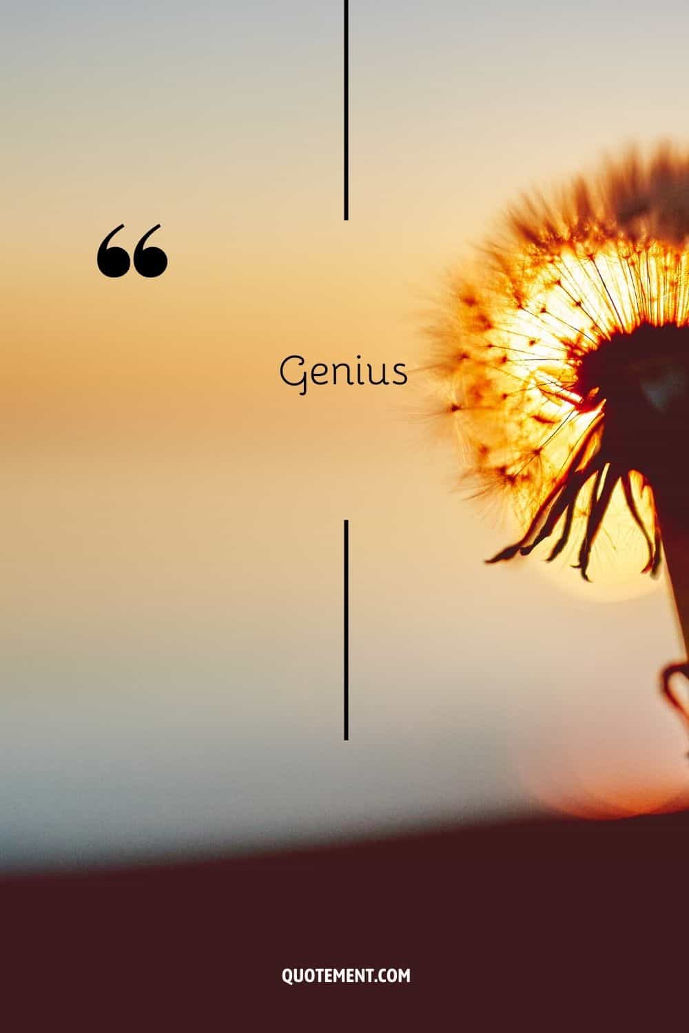 a dandelion in the sun rays representing the word genius
