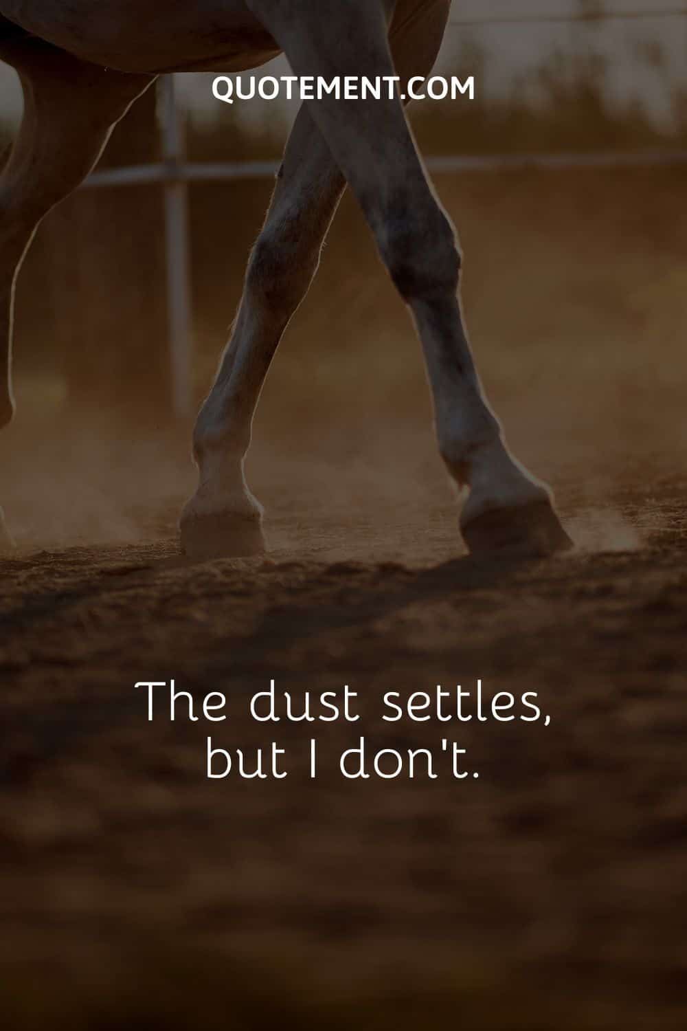 a horse's legs on a dusty ground
