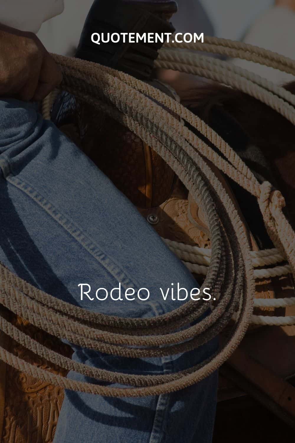 a person riding a horse and holding a rope
