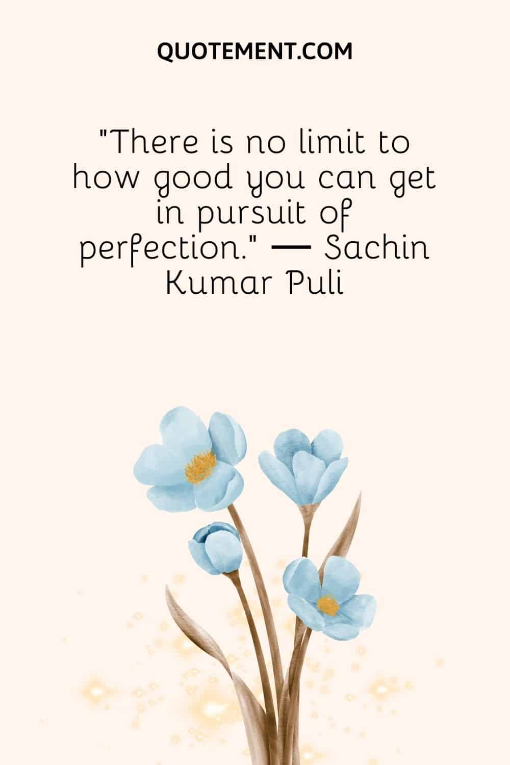 beautiful blue flowers representing a pursuit of perfection quote