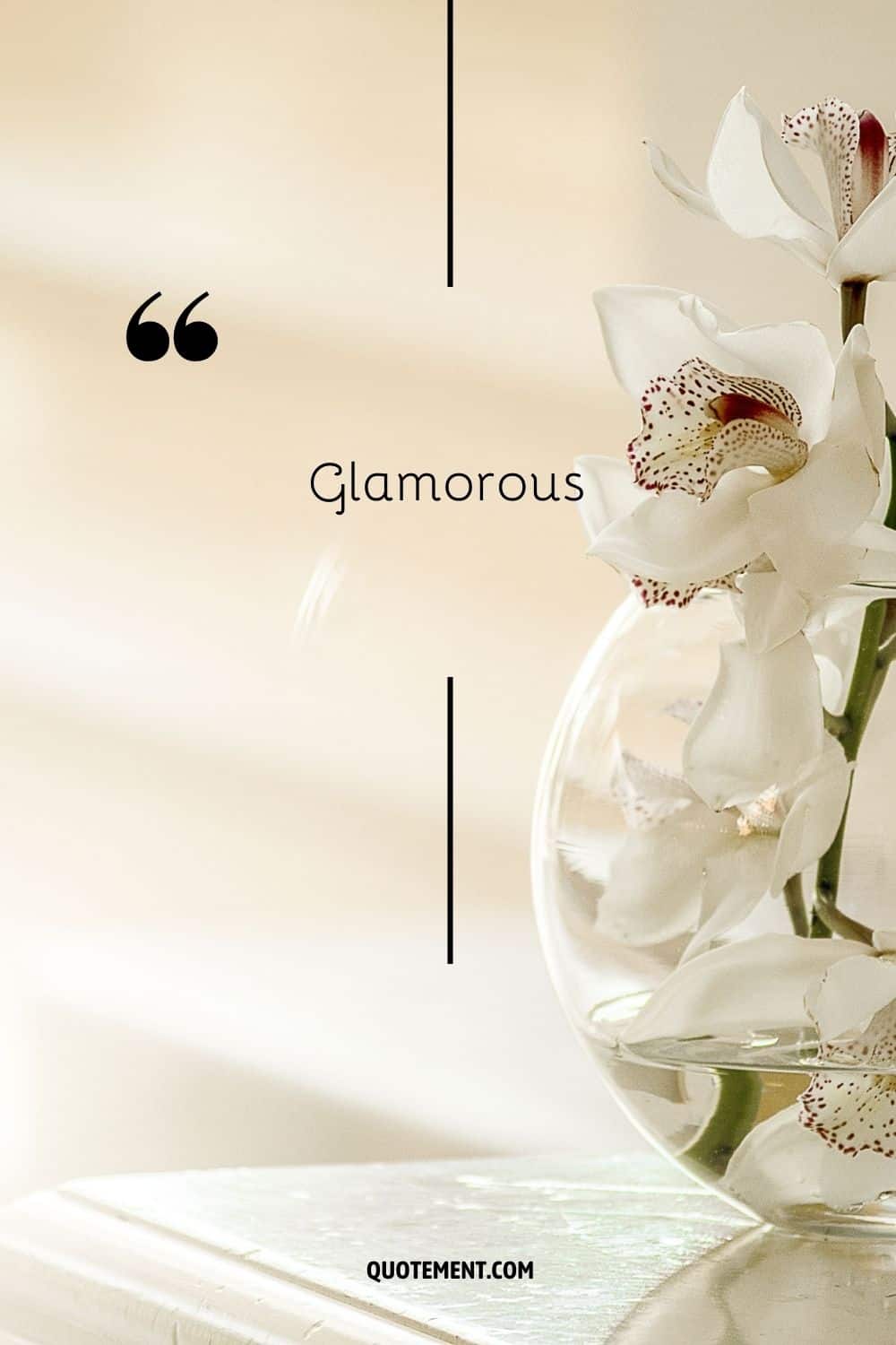white orchid in a vase representing the word glamorous