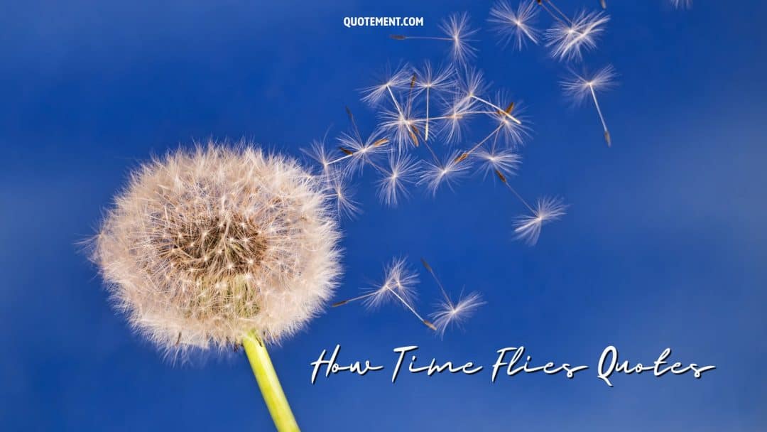 120 How Time Flies Quotes To Seize Life's Fleeting Beauty